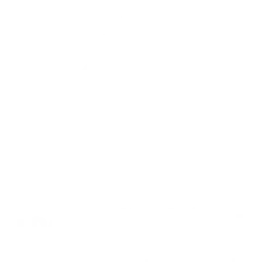 Developmental Housing