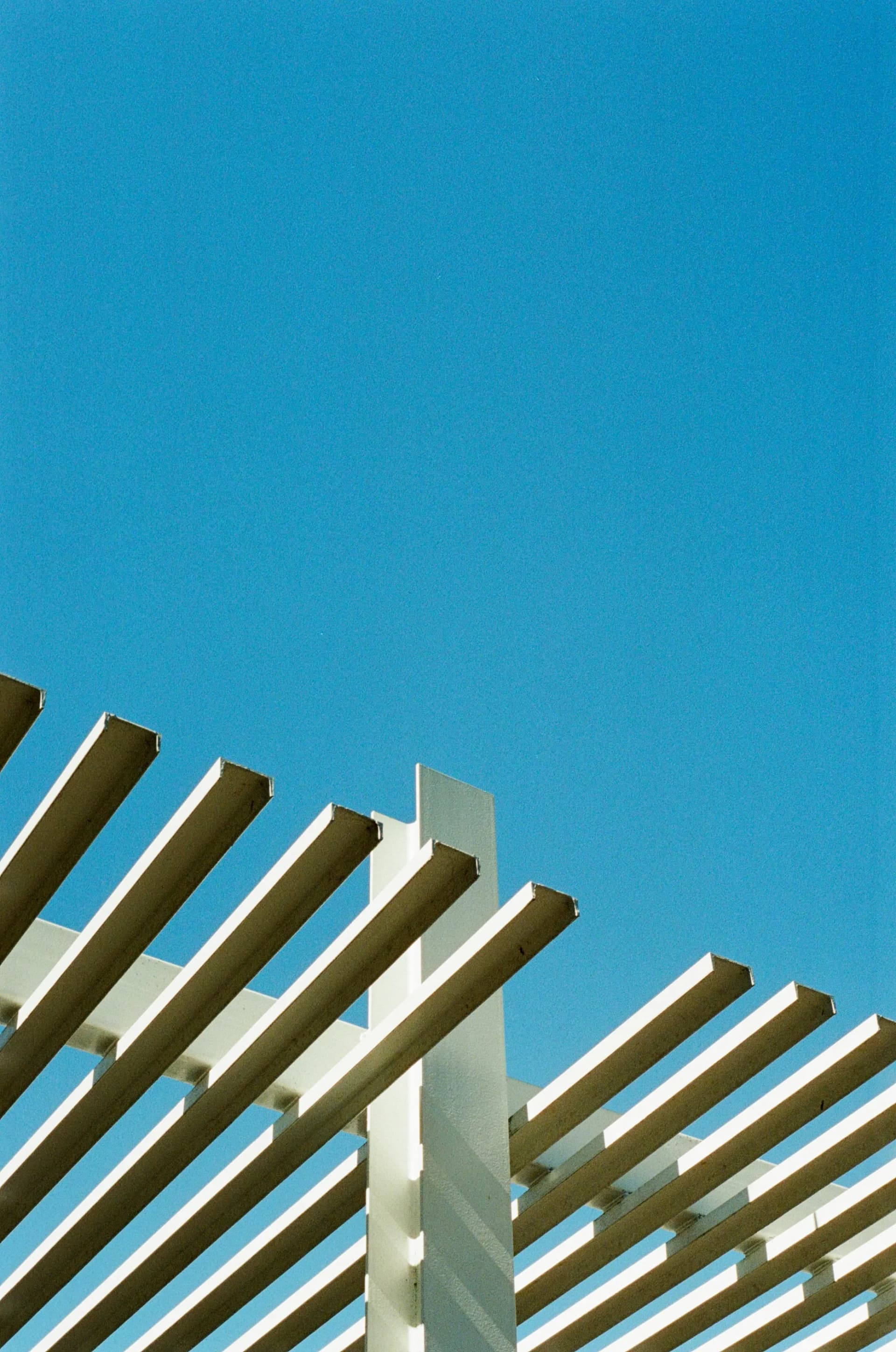 دليل تصميم برجولات الأسطح (الرووف): تحويل المساحة المهدرة إلى لاونج فاخر